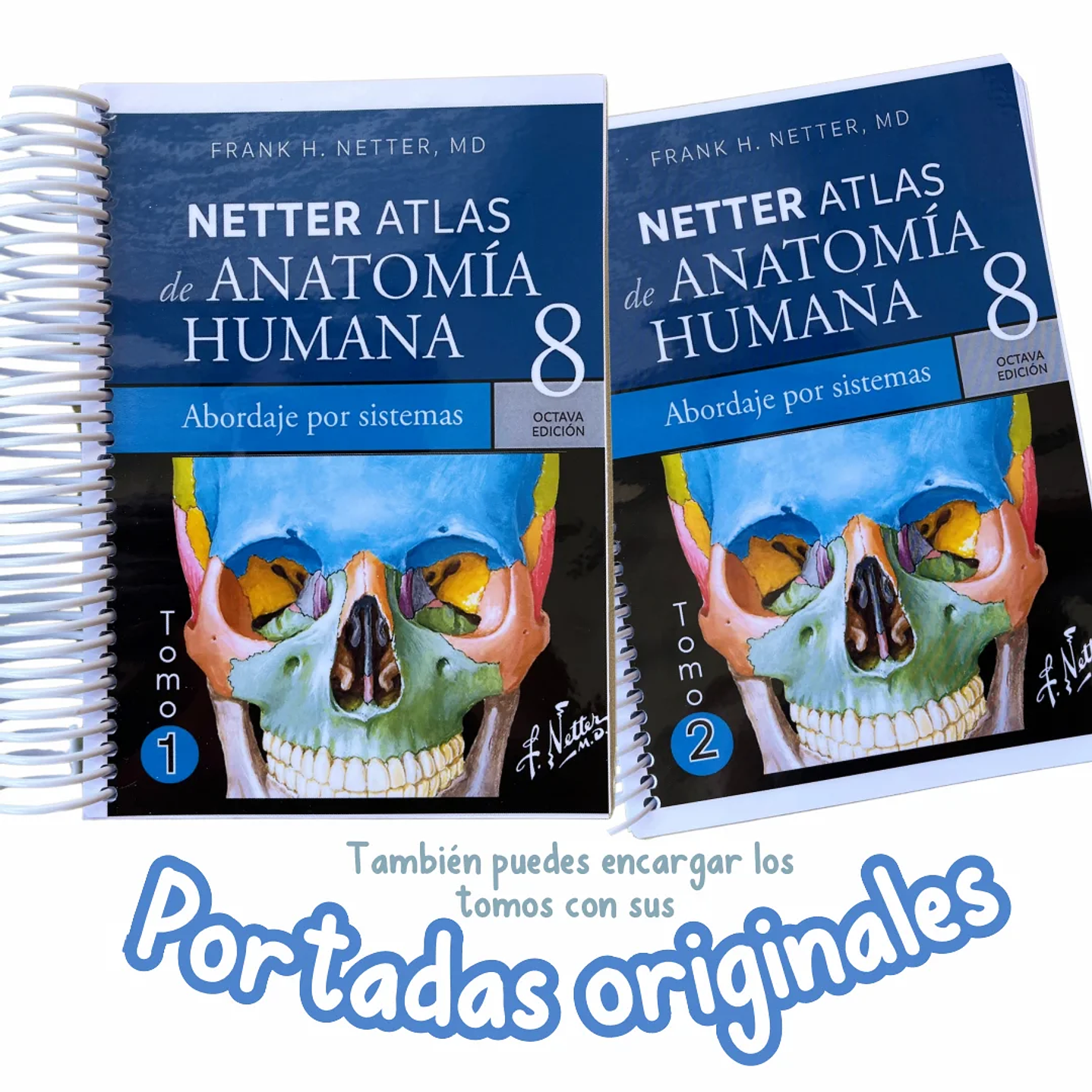 Atlas de Anatomía - Netter 8va Edición 3