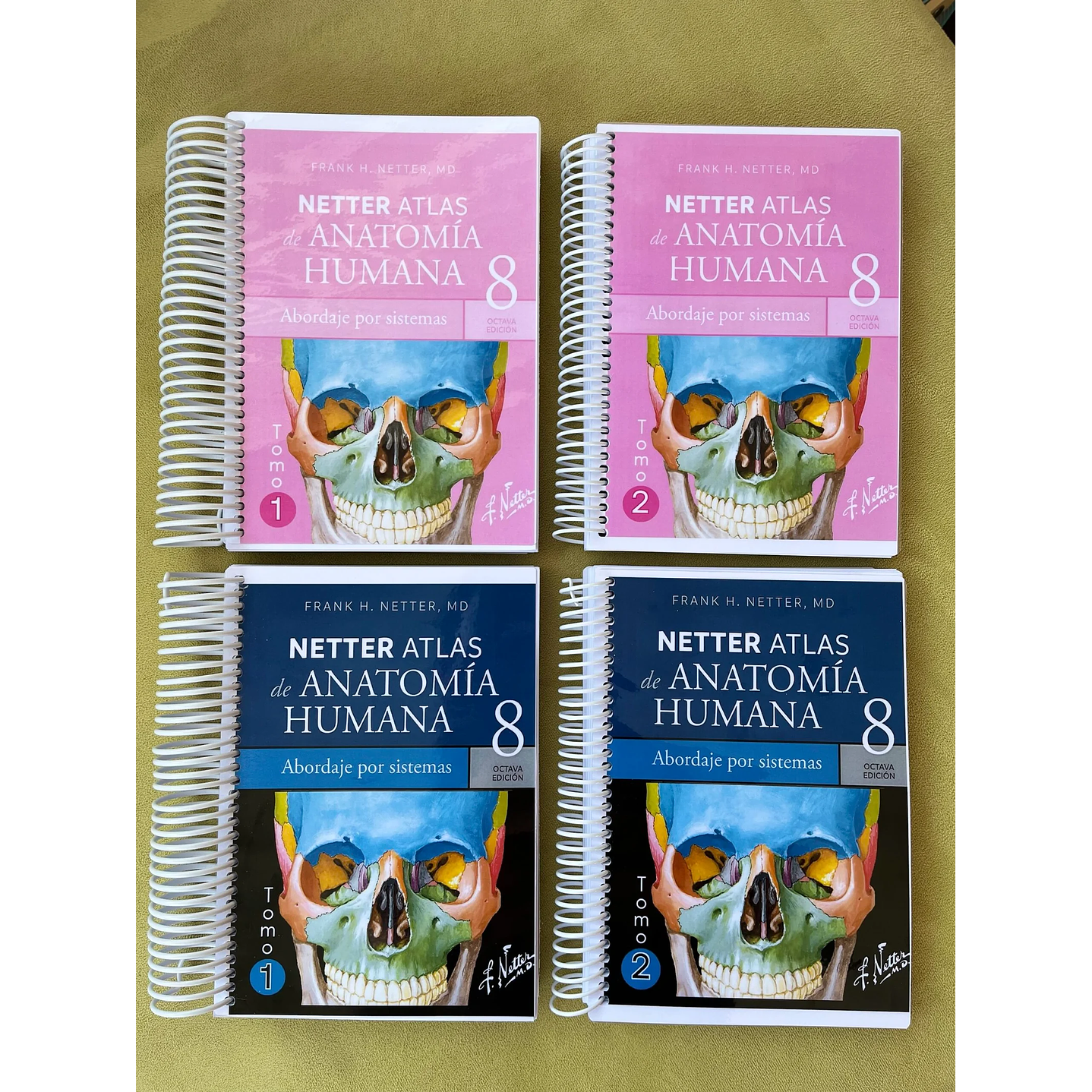 Atlas de Anatomía - Netter 8va Edición 4