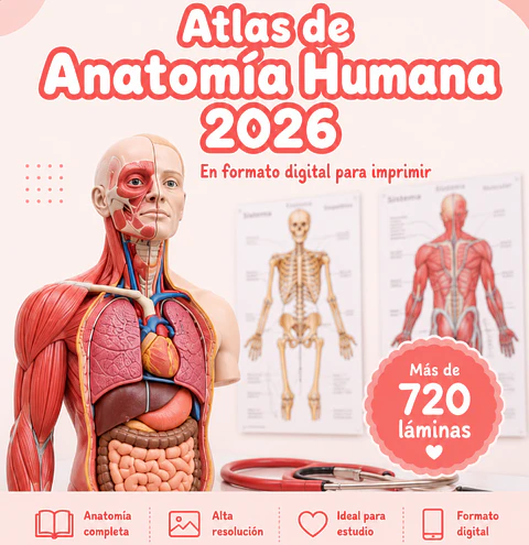 Netter - Abordaje por Sistemas 8va edición (PDF)