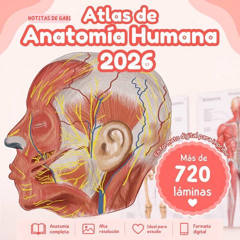 Netter - Abordaje por Sistemas 8va edición (PDF)