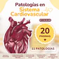 Guía de Patologías Cardiovasculares - Miniatura 1
