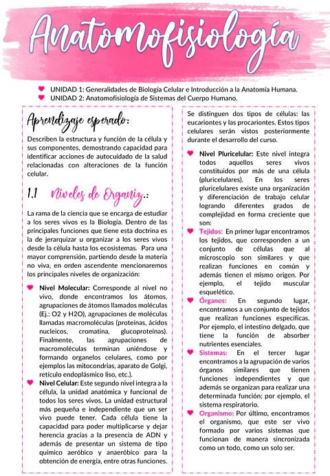 Anatomofisiología - Apunte Antiguo