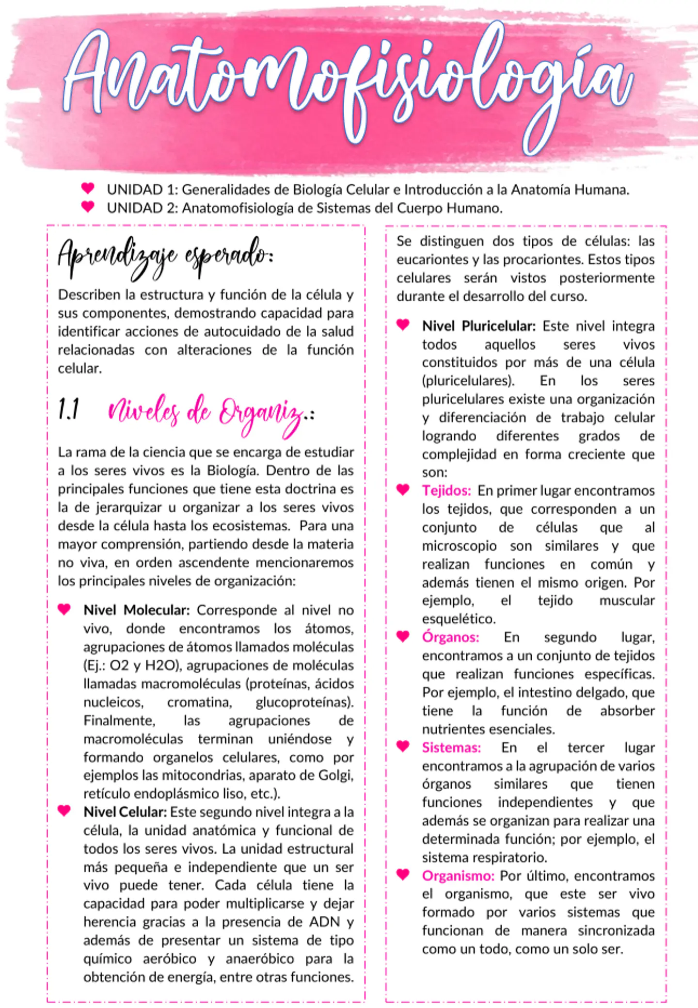 Anatomofisiología - Apunte Antiguo 1