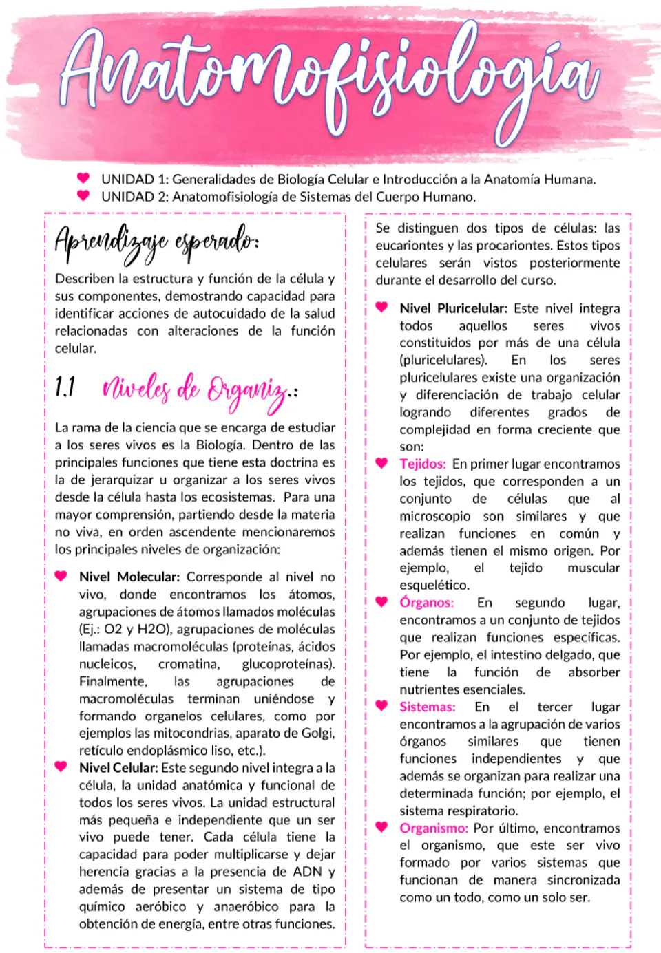 Anatomofisiología - Apunte Antiguo 1