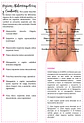 Anatomofisiología - Apunte Antiguo - Miniatura 2