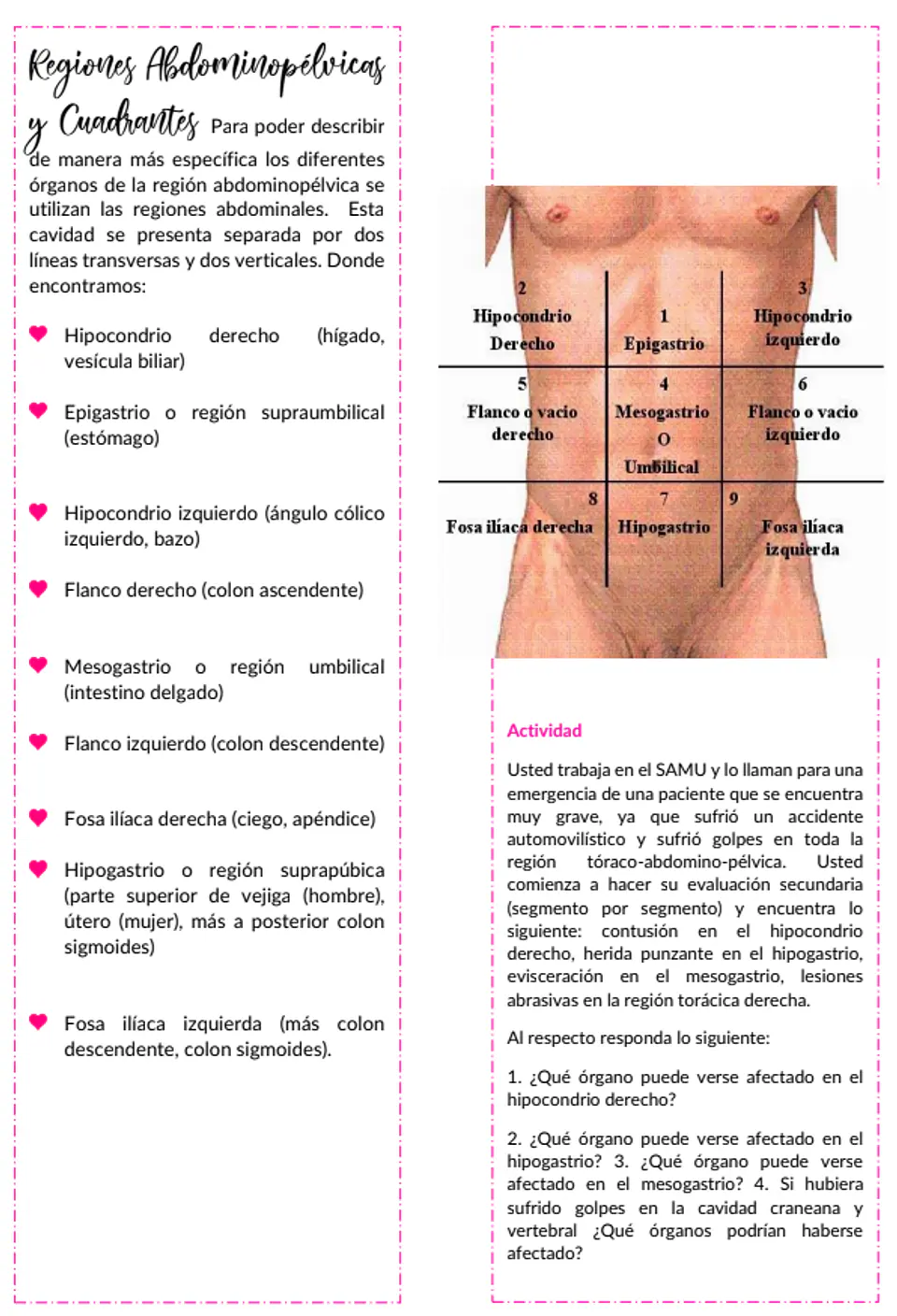 Anatomofisiología - Apunte Antiguo 2