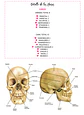 Anatomofisiología - Apunte Antiguo - Miniatura 3