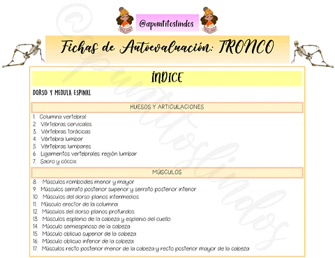 Fichas Anatómicas del Tronco - Apunte Antiguo
