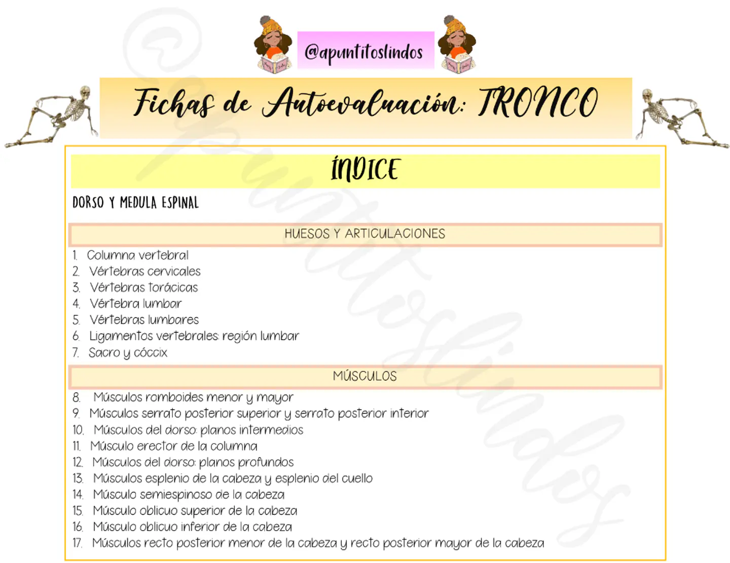Fichas Anatómicas del Tronco - Apunte Antiguo 1