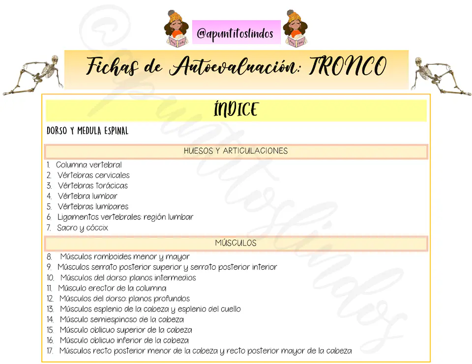 Fichas Anatómicas del Tronco - Apunte Antiguo 1