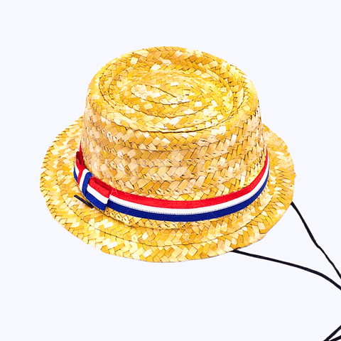 Chupalla de Huaso para Fiestas Patrias