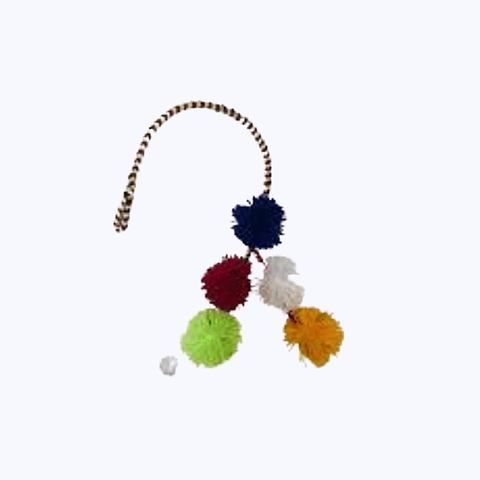 Pack 2  Pon Pom  Baile Nortino Baile El Trote Niña