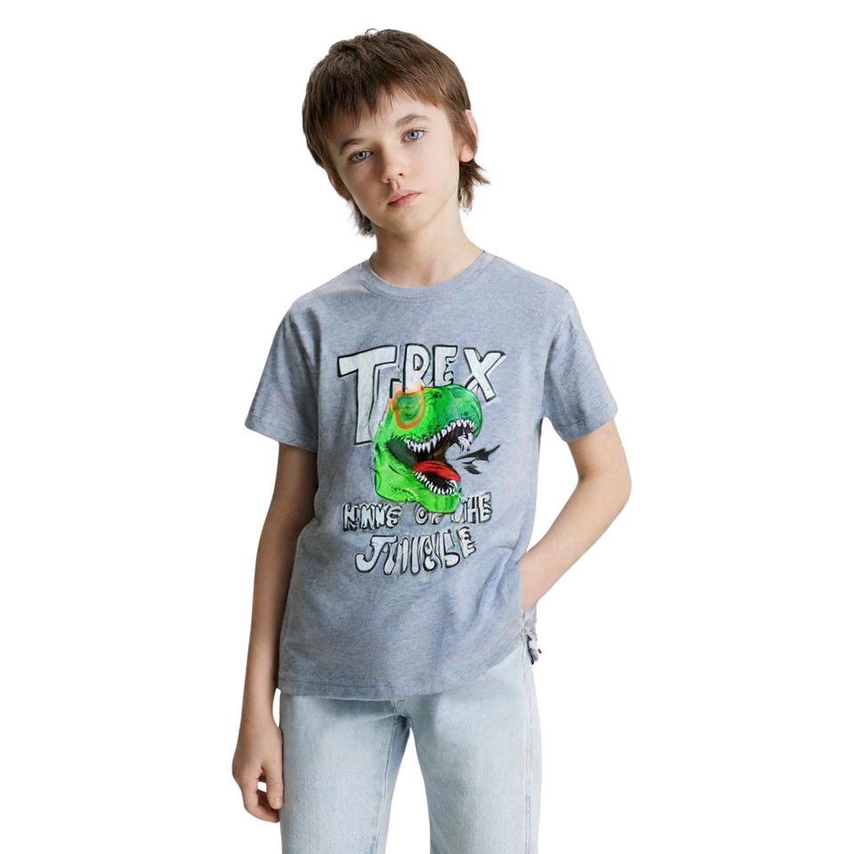 Polera Dino Rex Niño  1