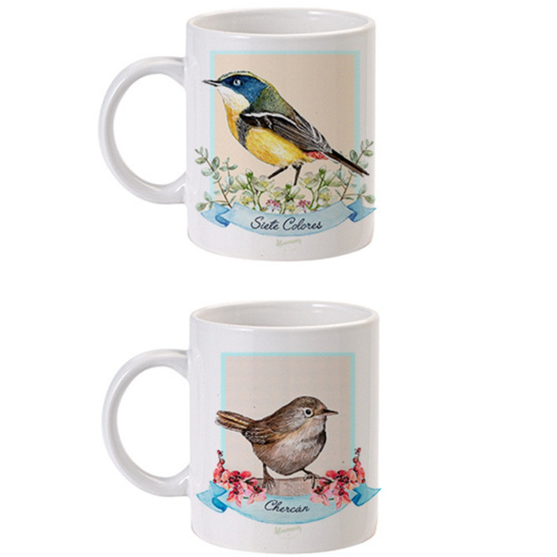 Colección de Aves de Chile 1