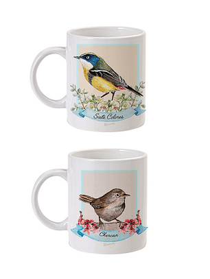 Colección de Aves de Chile