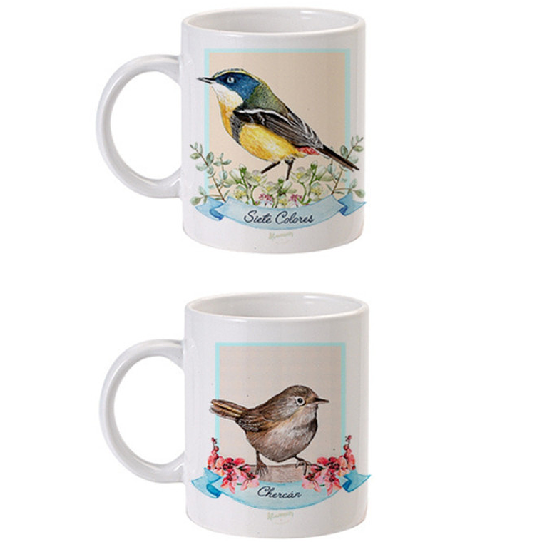 Colección de Aves de Chile 1