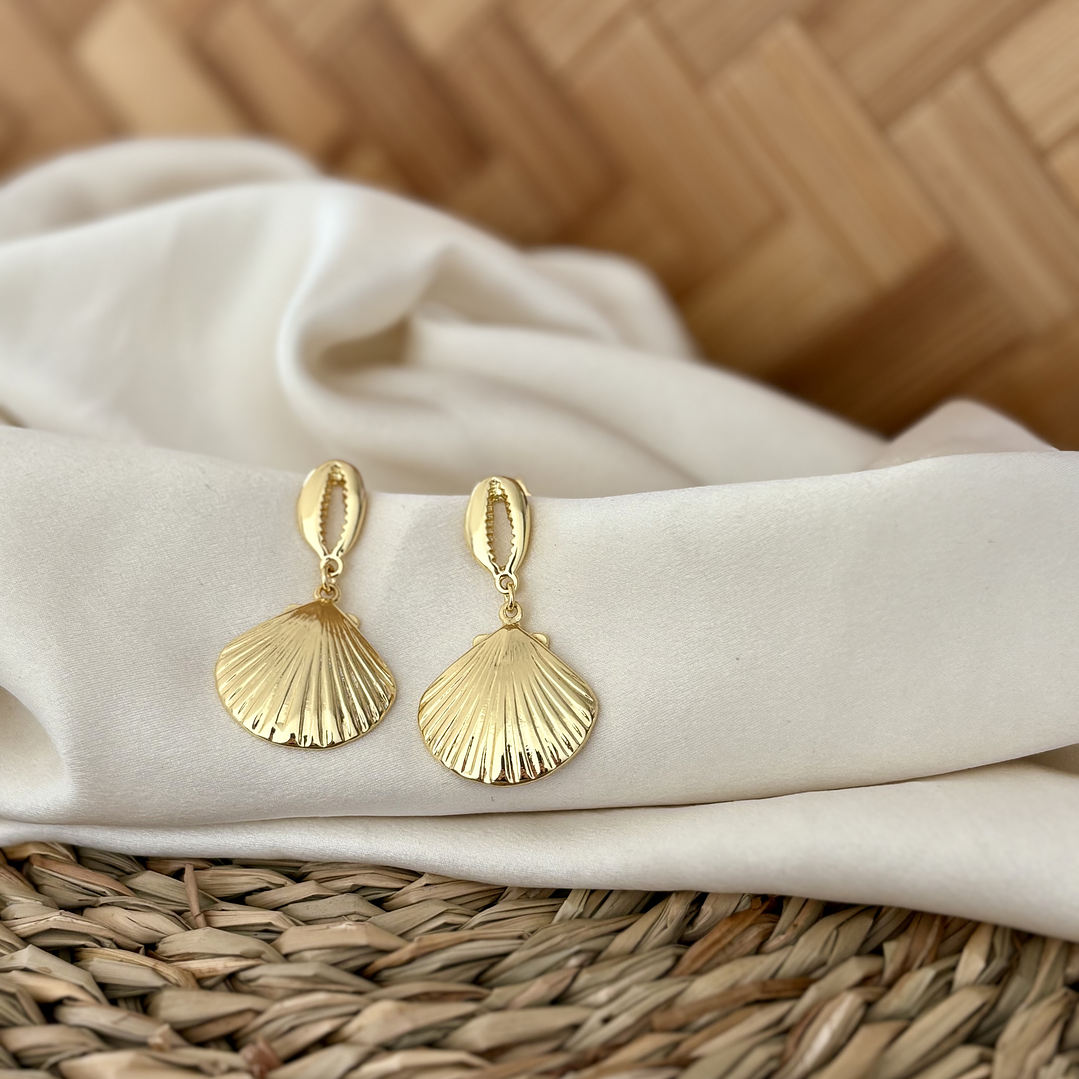 Aro conchita y almeja 1