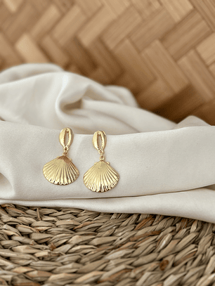 Aro conchita y almeja