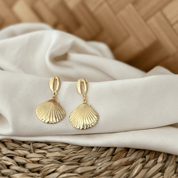 Aro conchita y almeja 1