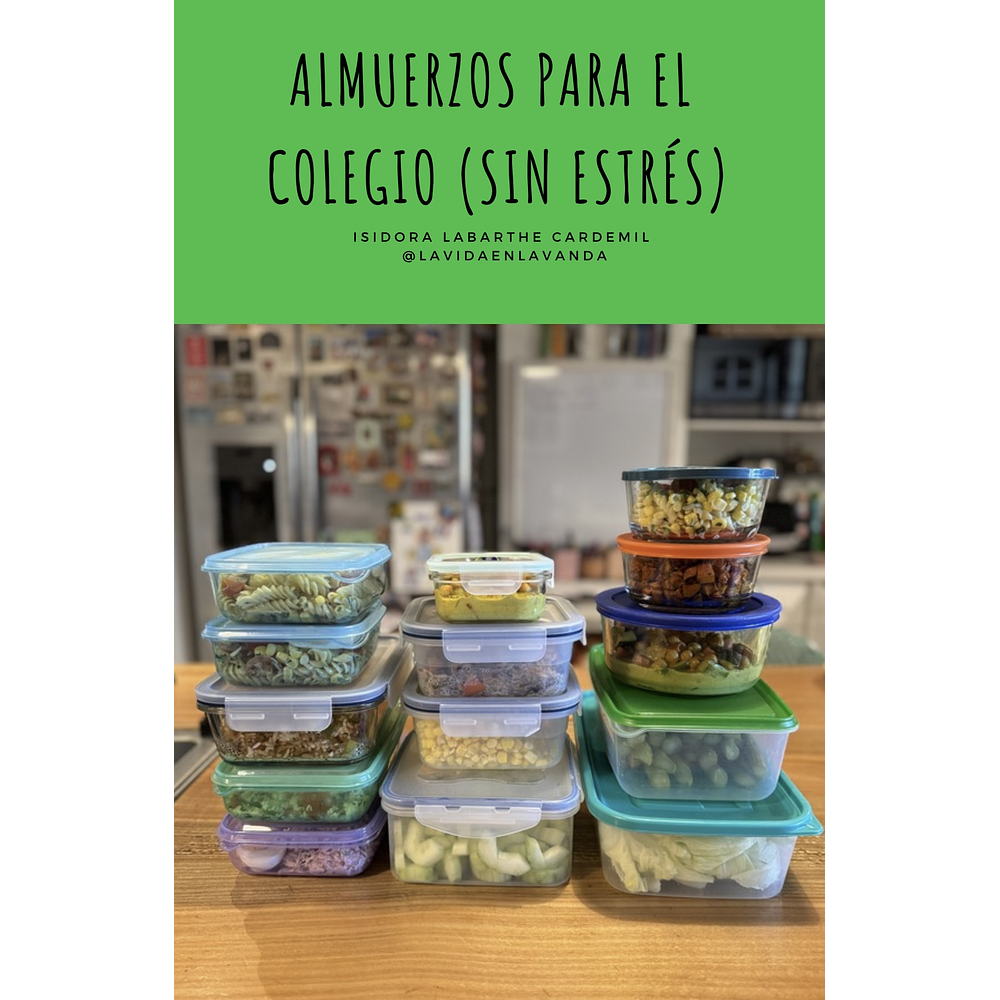 ALMUERZOS PARA EL COLEGIO (SIN ESTRÉS)