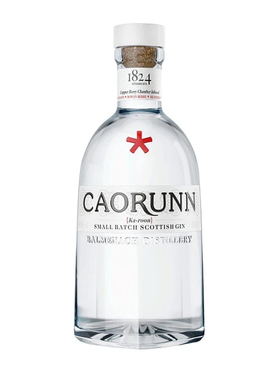 Caorunn Gin 41,8° 2
