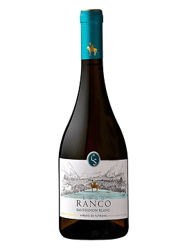 Casa Silva Lago Ranco Sauvignon Blanc