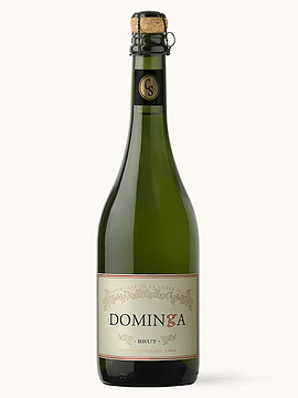 Casa Silva Dominga Brut