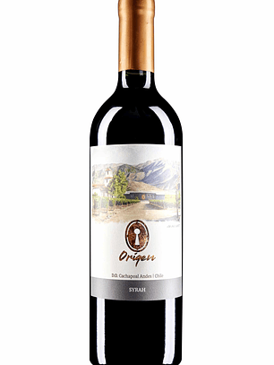 Syrah Origen Valle Secreto