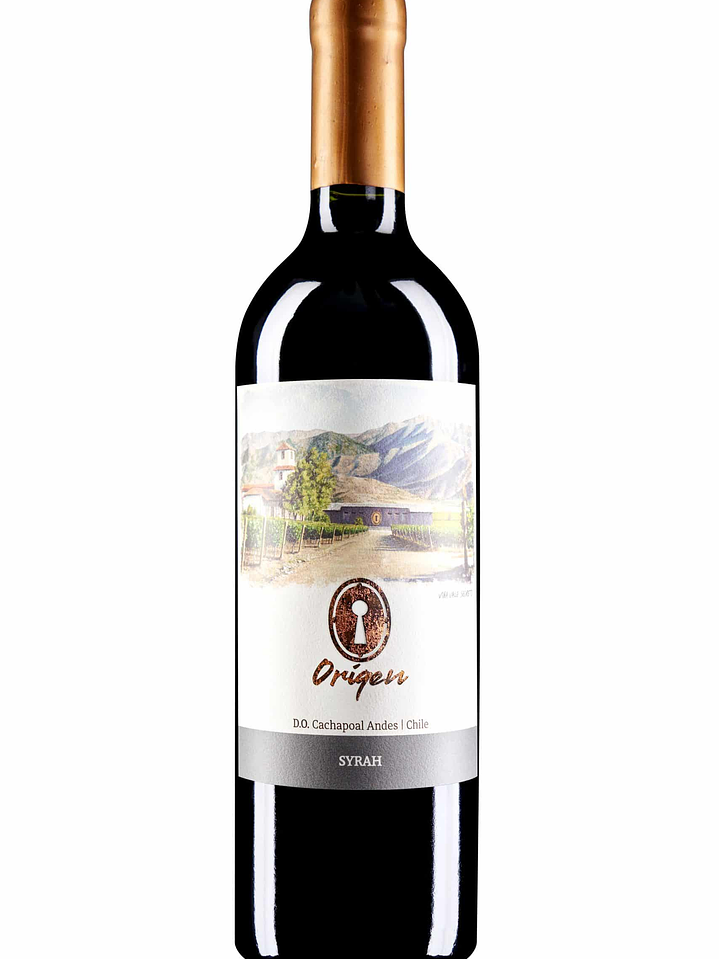 Syrah Origen Valle Secreto 1