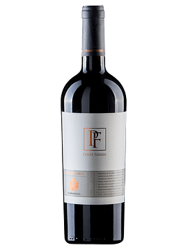 Carmenere Gran Reserva Puntí Ferrer