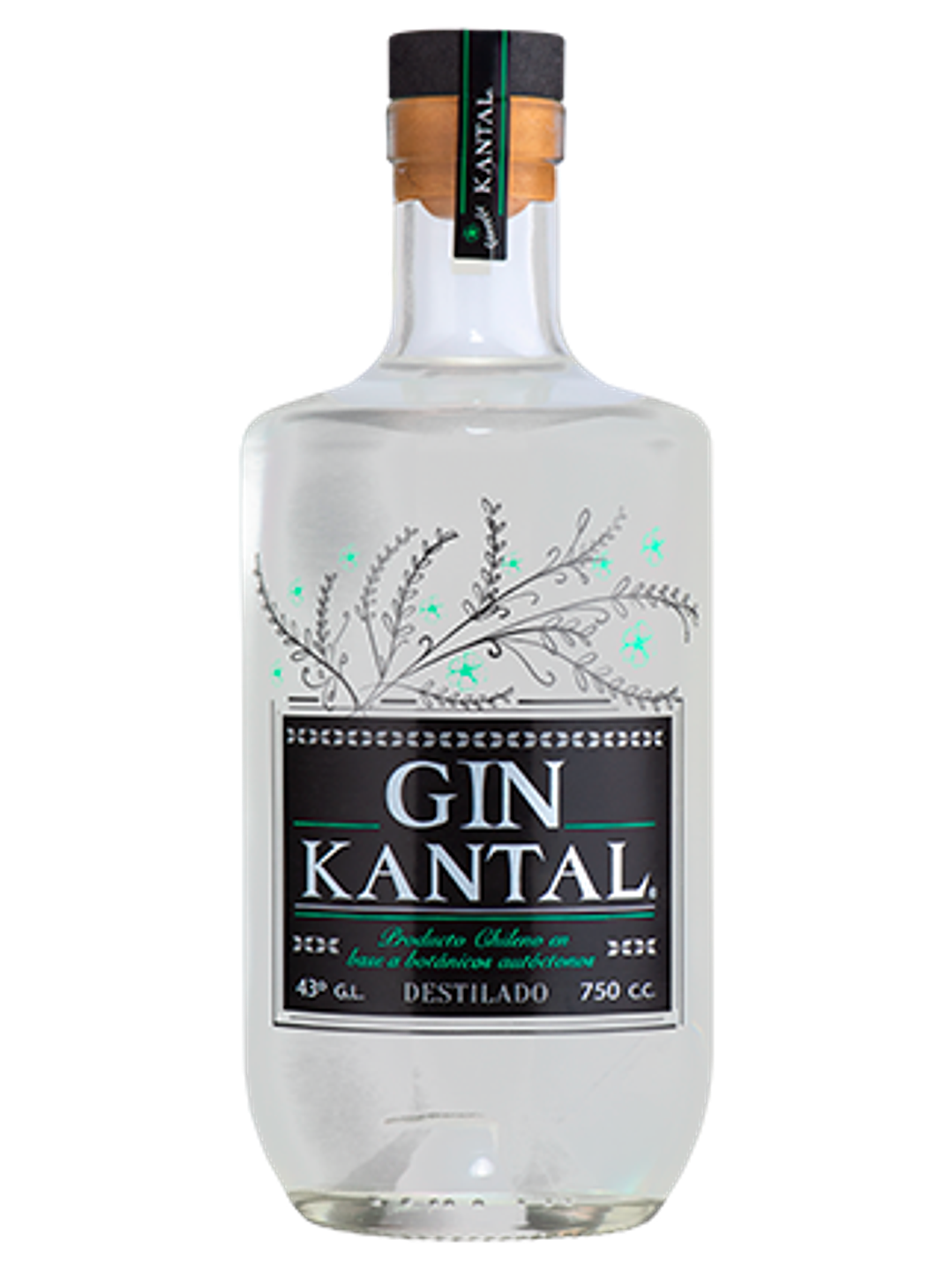 Gin Kantal 1