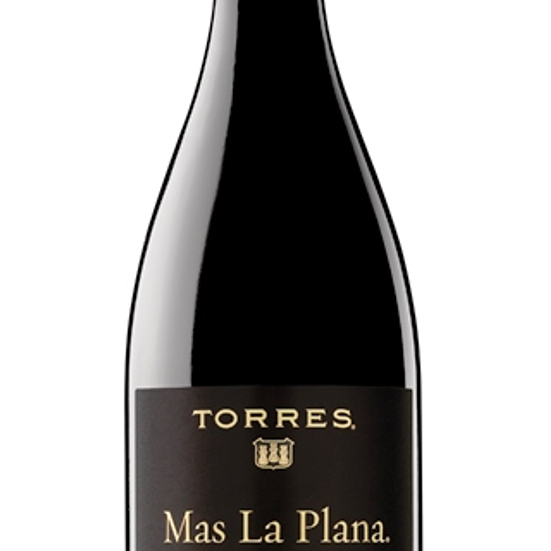 Torres Mas La Plana 1