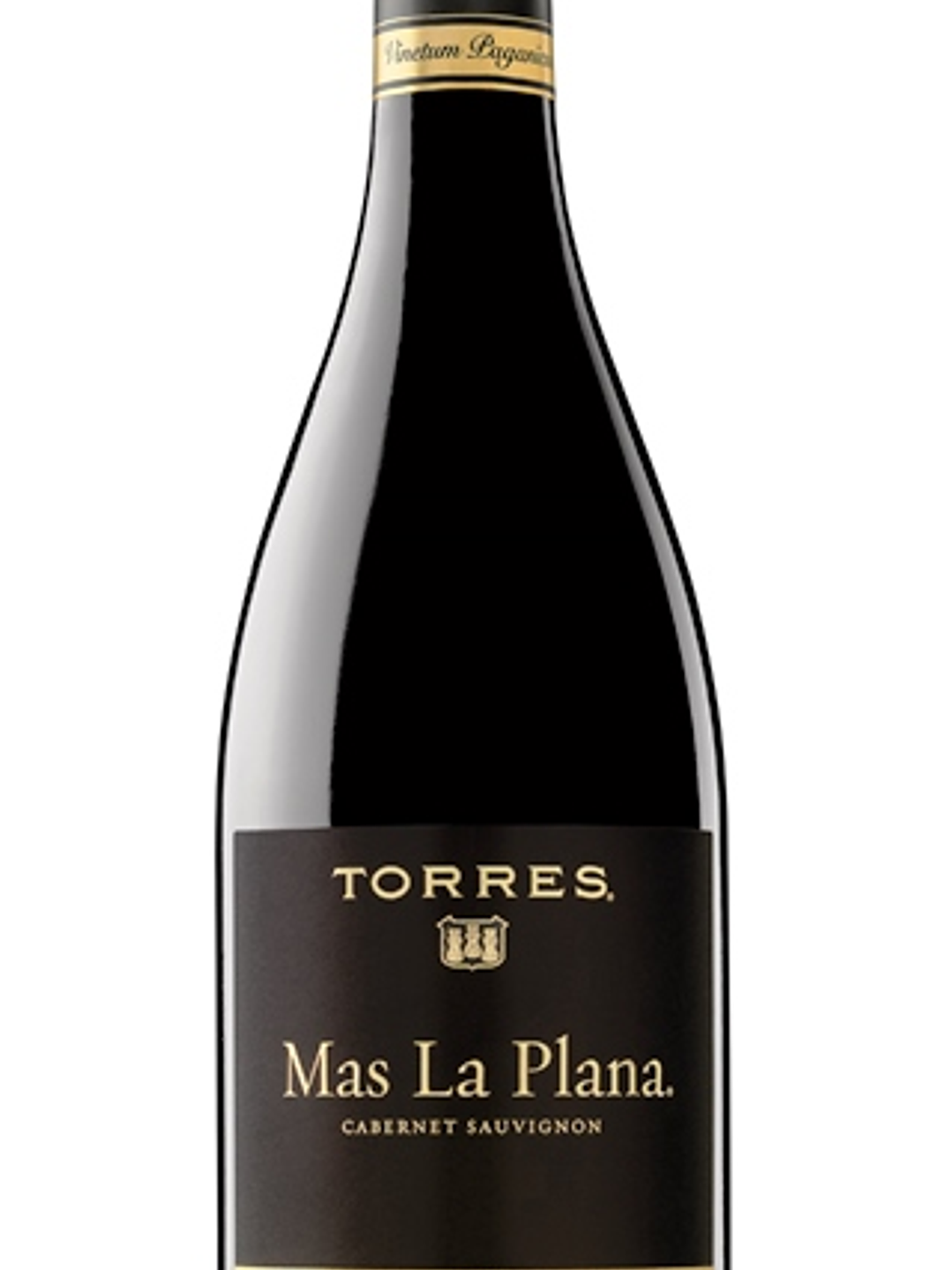 Torres Mas La Plana 1