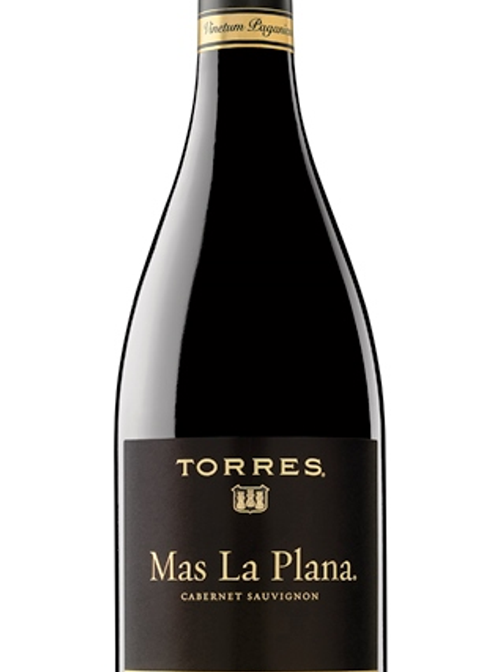 Torres Mas La Plana 1