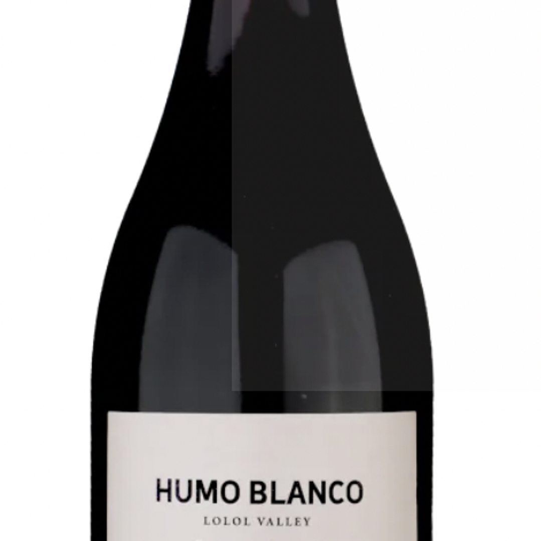 HUMO BLANCO SYRAH 1