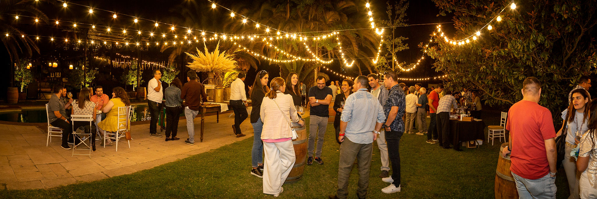 Feria de Vinos D.O´Higgins