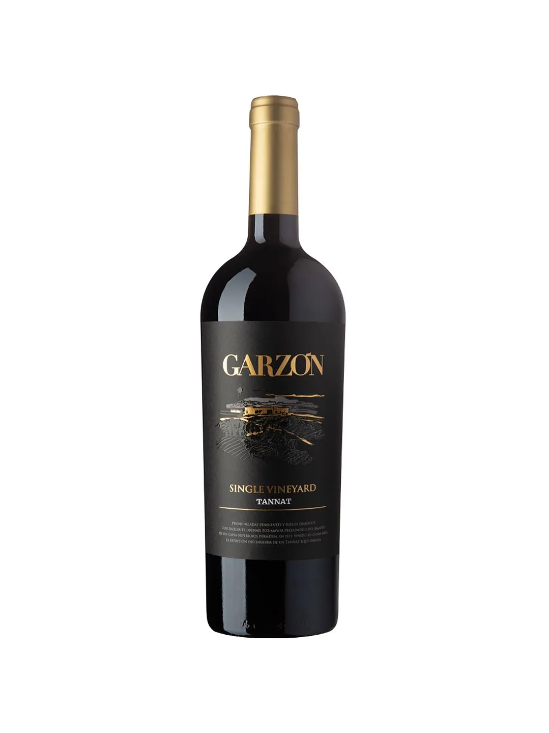 Garzón Single Vineyard Tannat 1