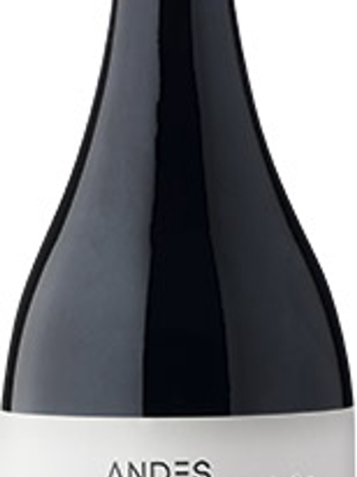 Andes plateau cota 500 syrah 2