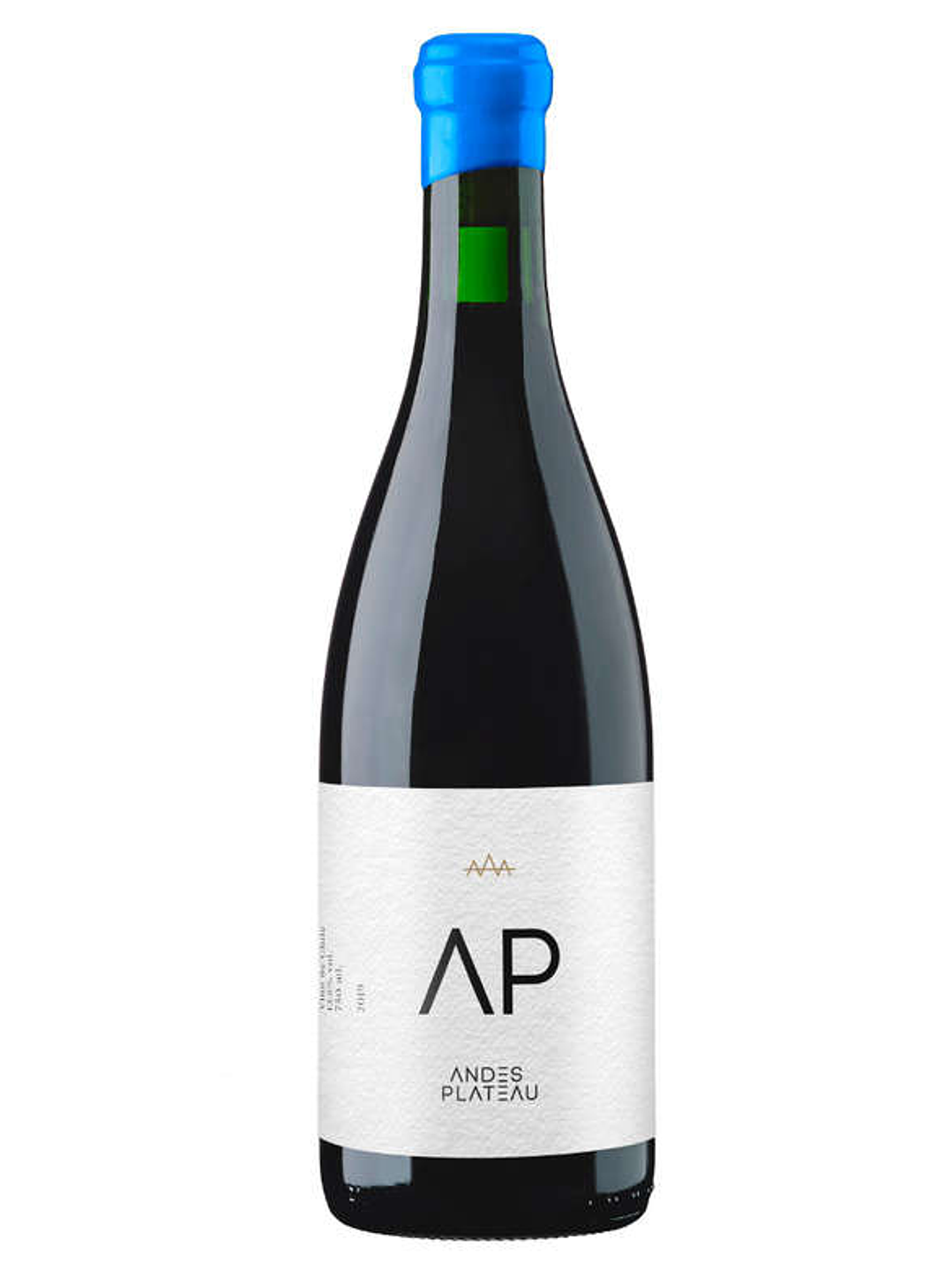 Andes plateau Icono AP 1