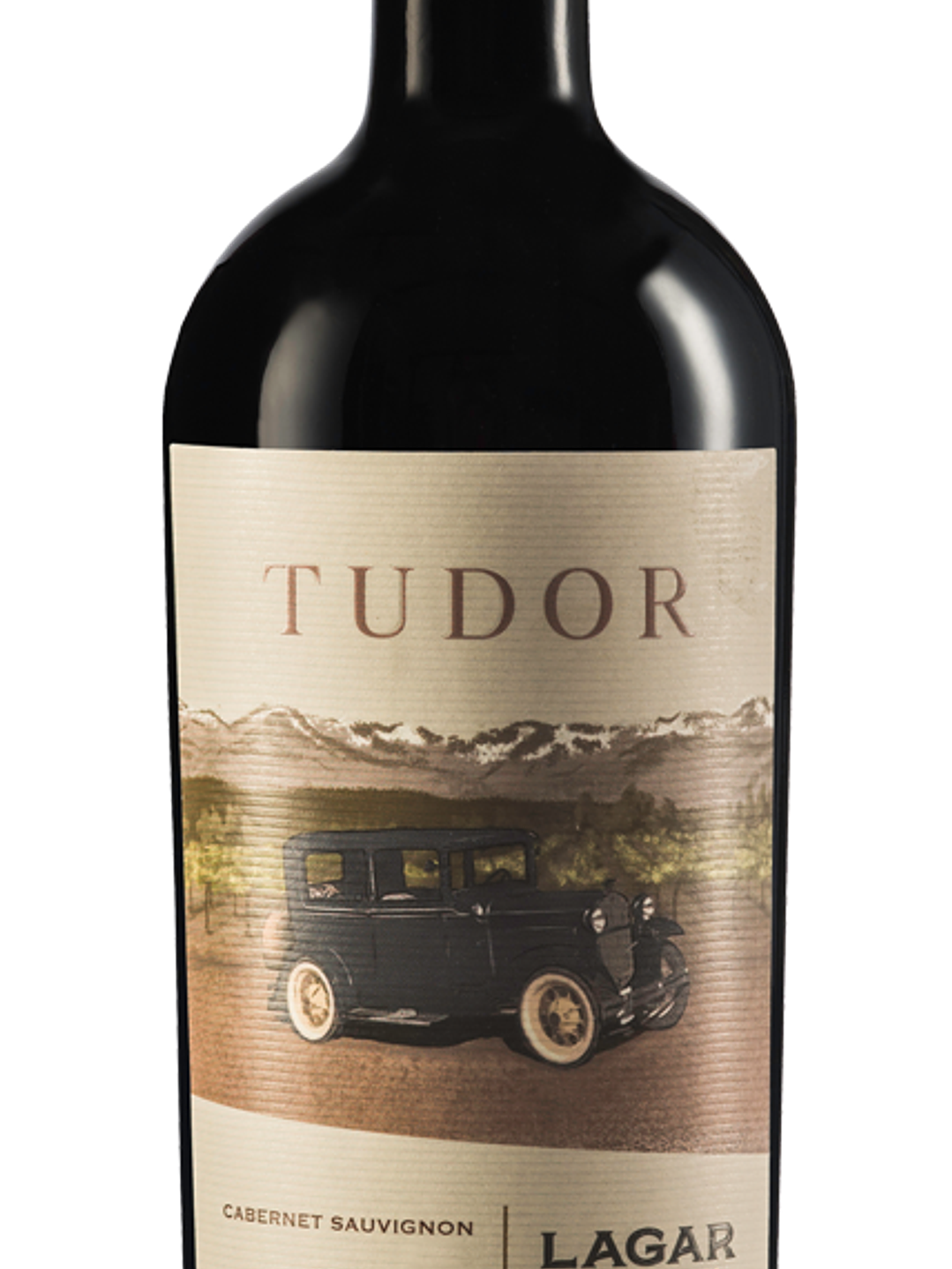 Lagar de Codegua Tudor 1