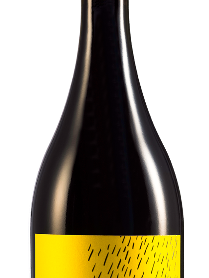 Lagar de codegua syrah 1
