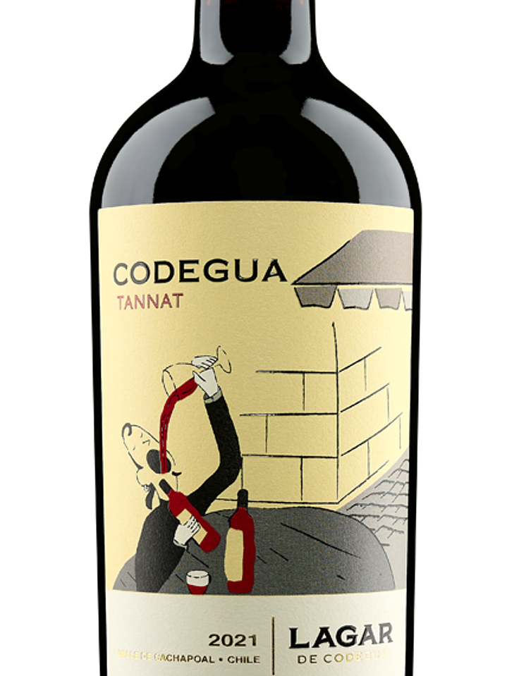 Lagar de codegua tannat 1