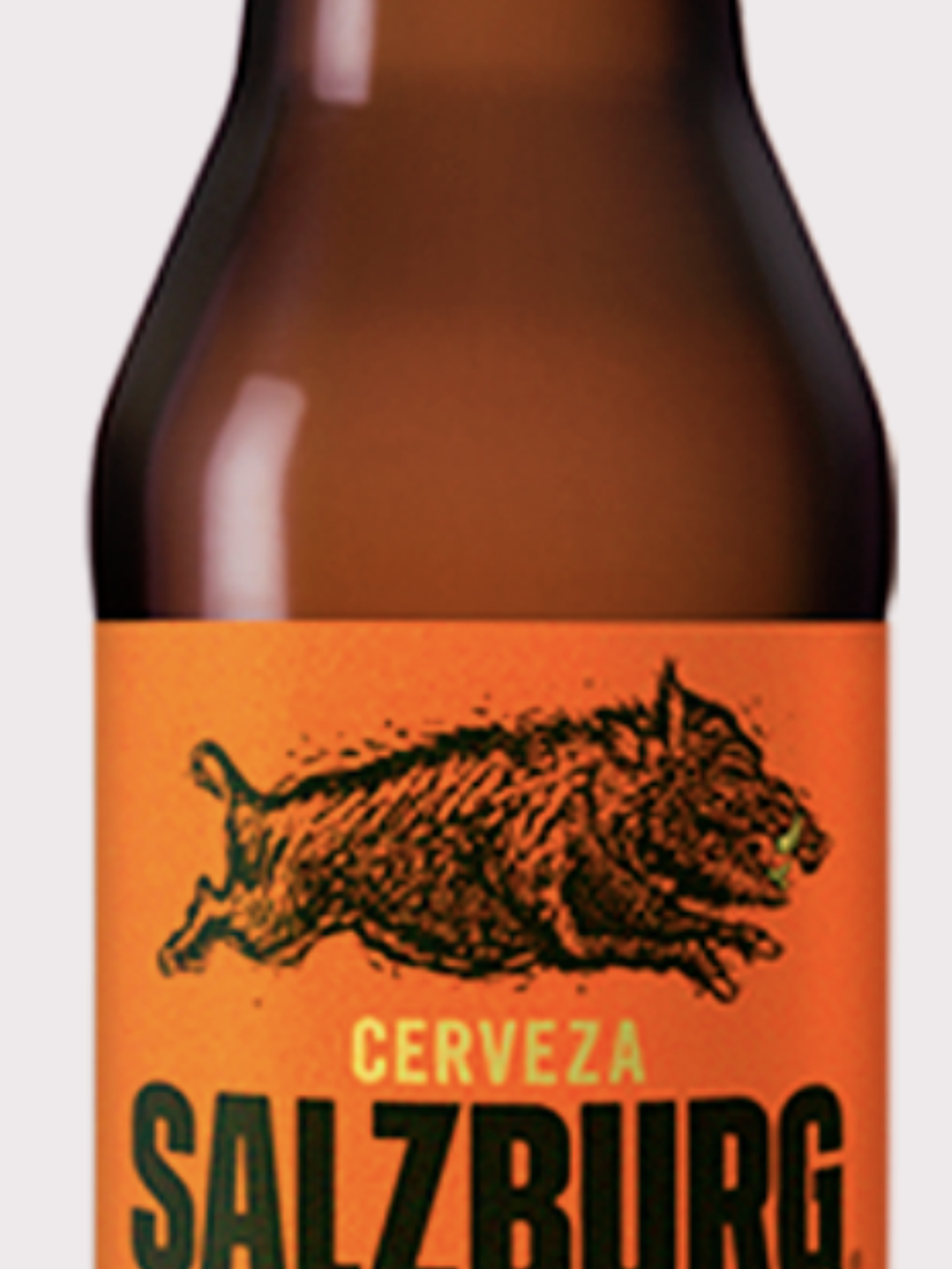 Cerveza Salzburg Altes Ale 1