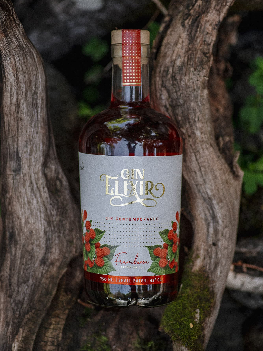 Gin Chileno Elixir Frambuesa 2