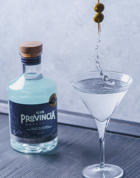 MARTINI PROVINCIA PATAGONIA