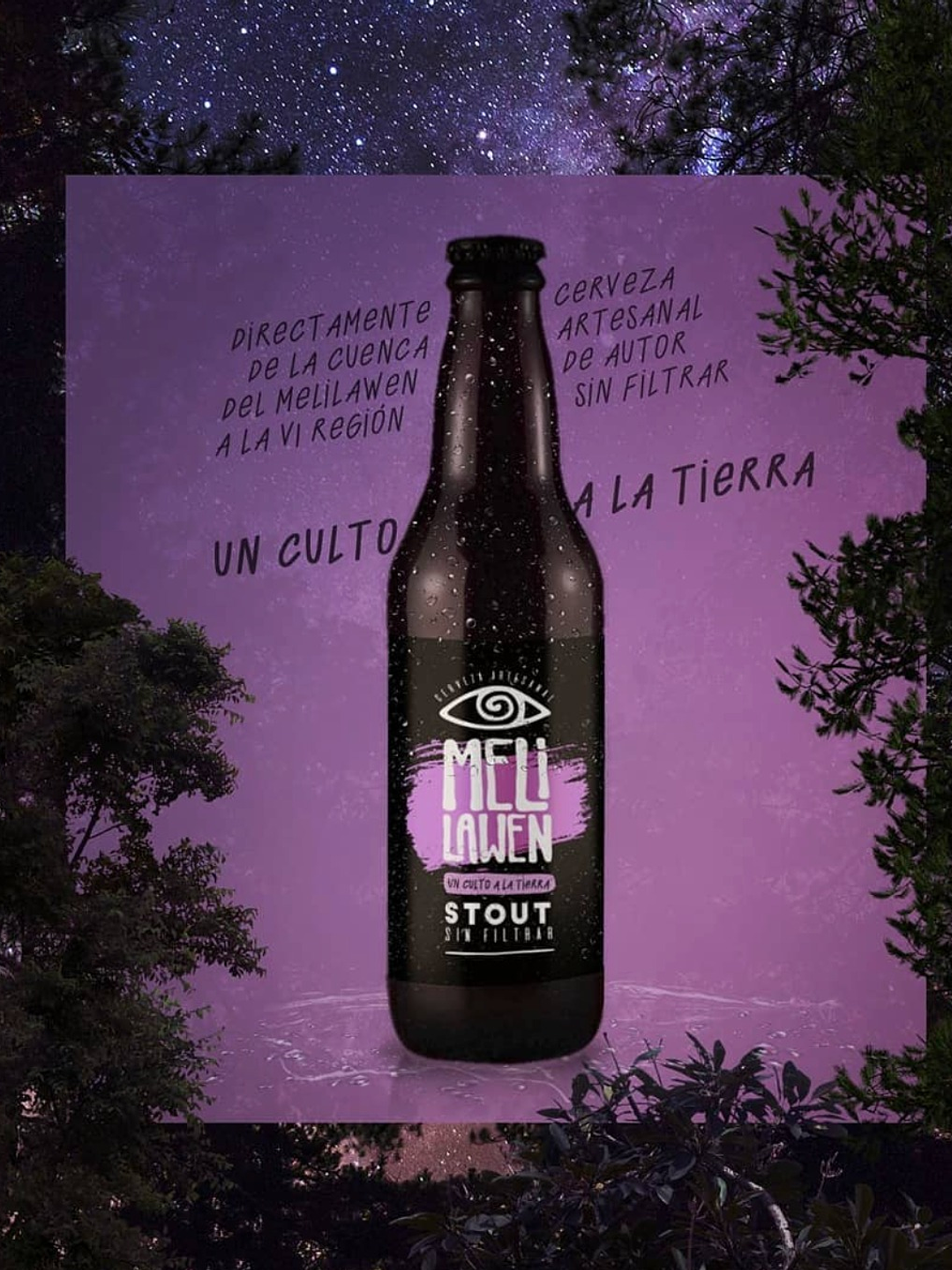CERVEZA MELI LAWEN STOUT 1