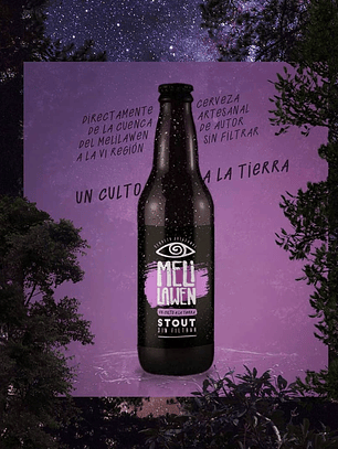 CERVEZA MELI LAWEN STOUT
