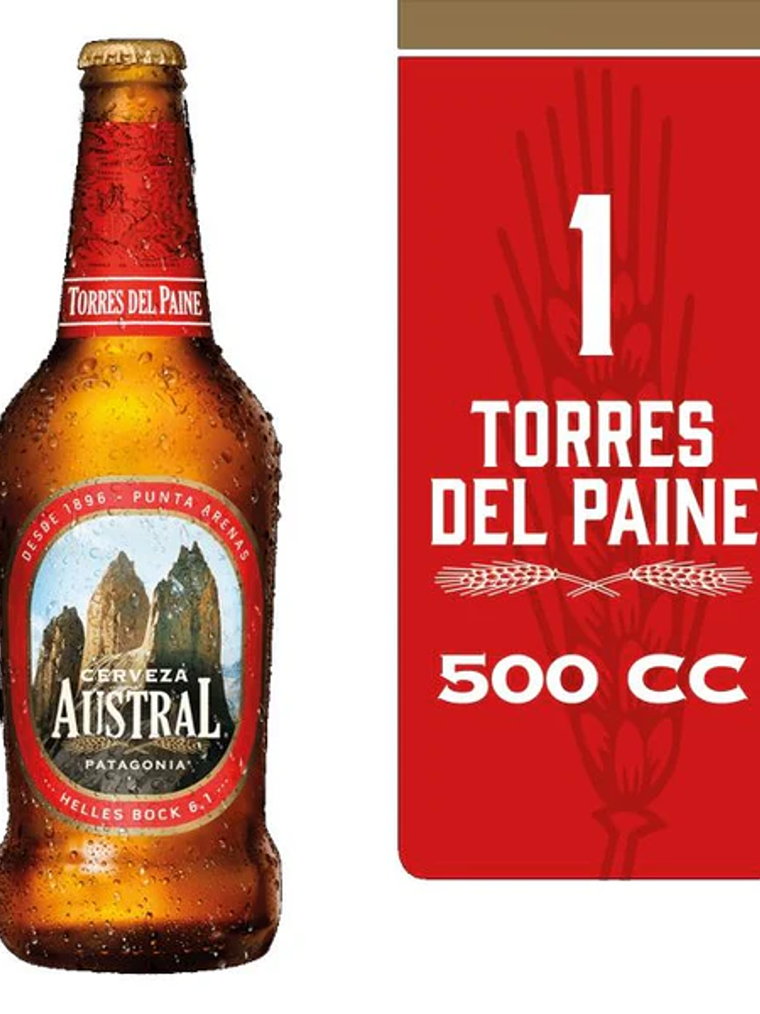 AUSTRAL TORRES DEL PAINE 500CC 1