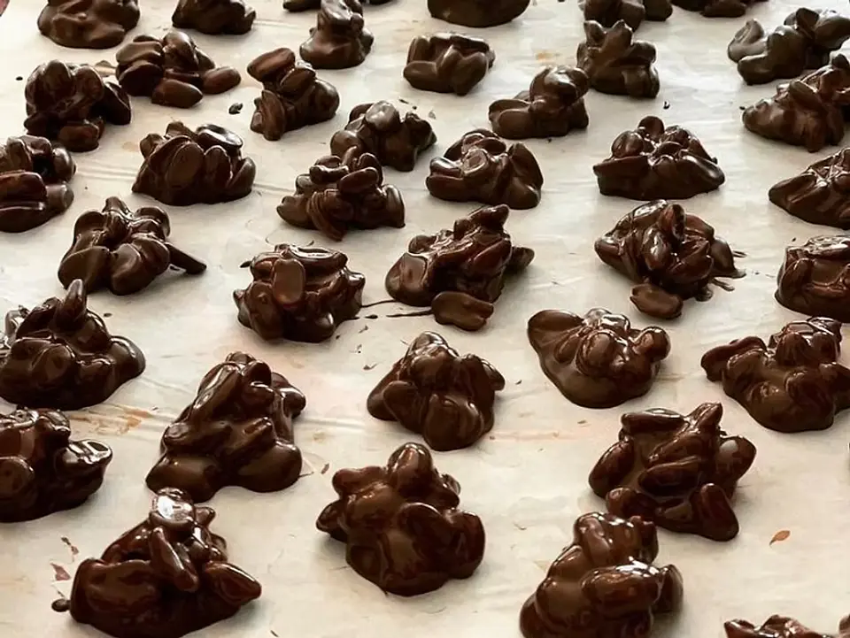 Maní Bañado Chocolate 500 g Chocolates Williams 2