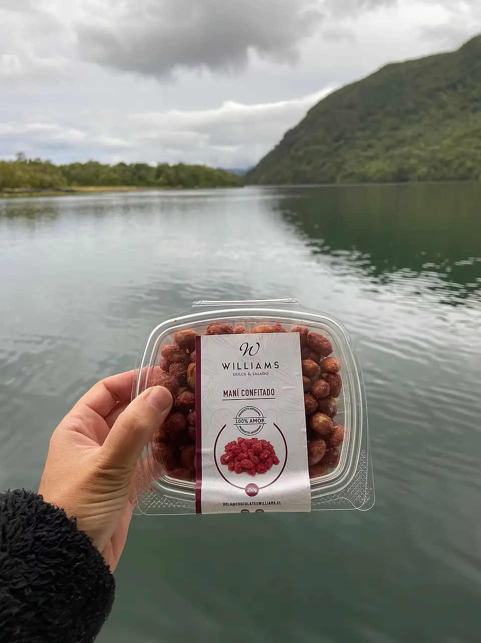 Maní Confitado 250 g Chocolates Williams 2